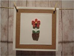 Flower In A Pot