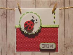 Get Well Soon Ladybug