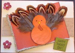 Turkey Real Feathers